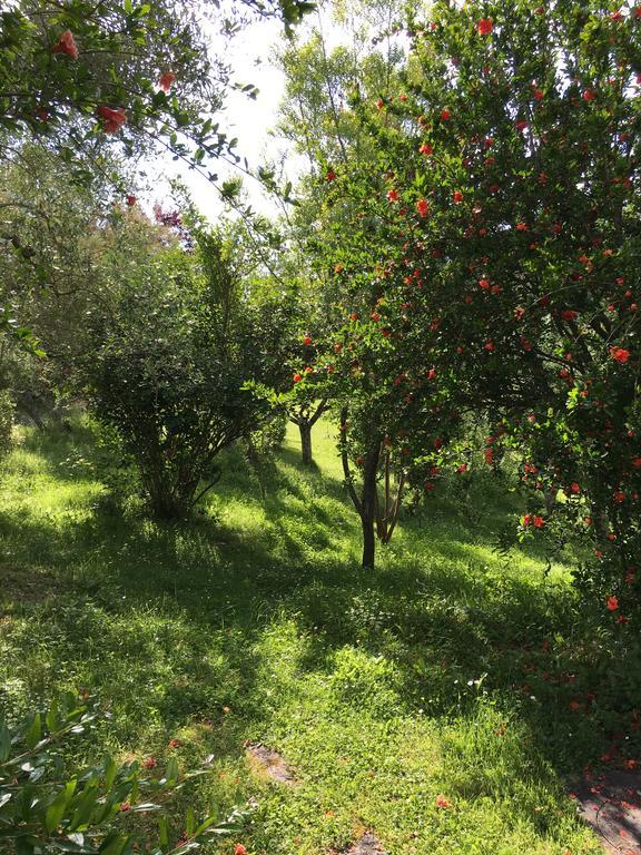 카스텔누오보베라덴가 Casale Le Querce 아파트 외부 사진